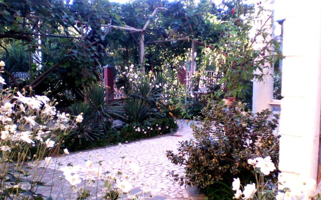 White Guest House Batumi Szoba fotó